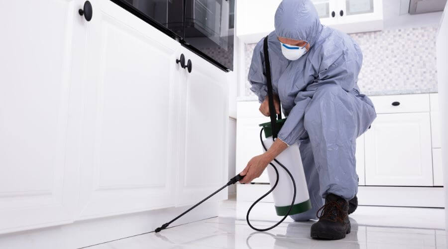 Professional monthly mosquito treatment plans services in Scottsdale - Monthly Mosquito Treatment Plans Scottsdale